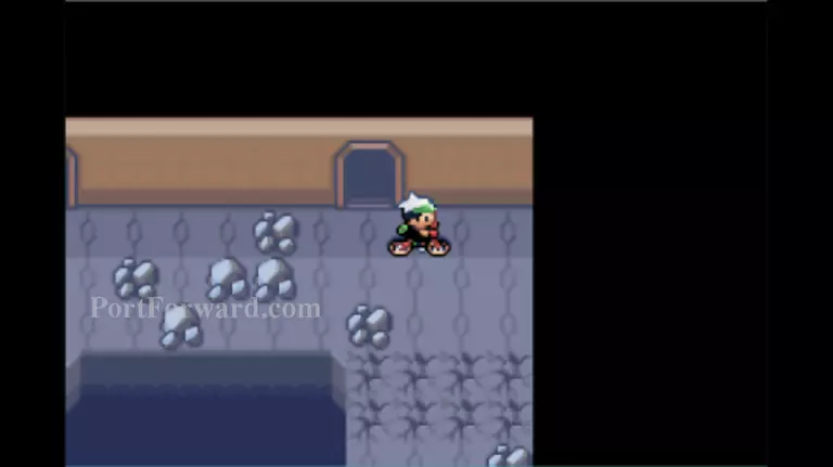 Pokemon Emerald Walkthrough - Pokemon Emerald 1020