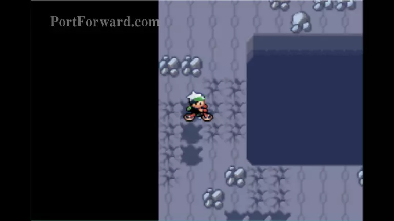 Pokemon Emerald Walkthrough - Pokemon Emerald 1024