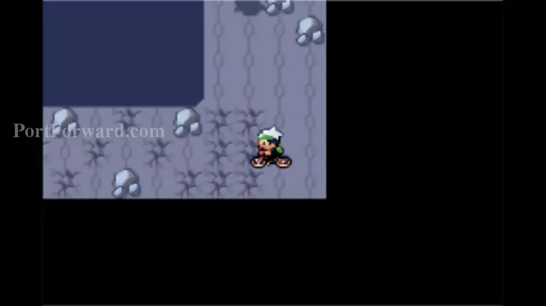 Pokemon Emerald Walkthrough - Pokemon Emerald 1028