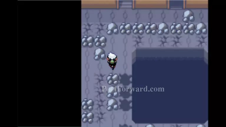 Pokemon Emerald Walkthrough - Pokemon Emerald 1029