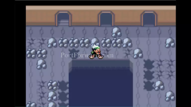 Pokemon Emerald Walkthrough - Pokemon Emerald 1030