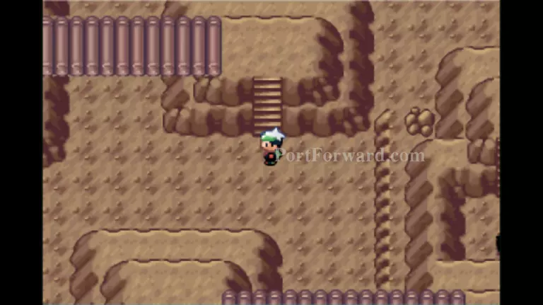 Pokemon Emerald Walkthrough - Pokemon Emerald 1040