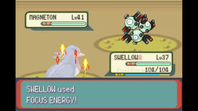 Pokemon Emerald Walkthrough - Pokemon Emerald 1043