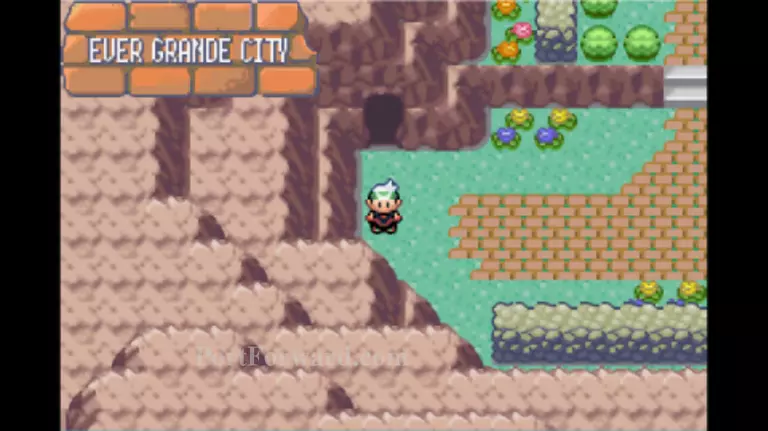 Pokemon Emerald Walkthrough - Pokemon Emerald 1070