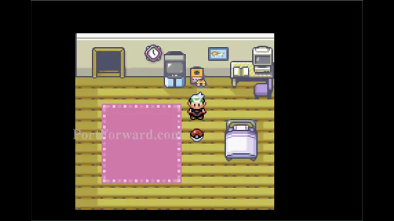 Pokemon Emerald Walkthrough - Pokemon Emerald 11