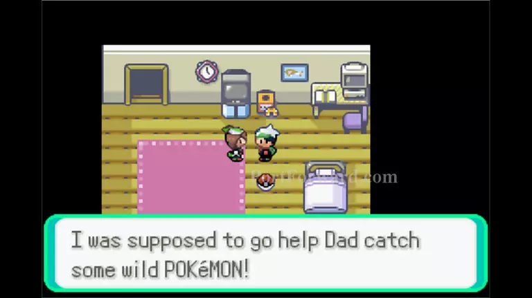 Pokemon Emerald Walkthrough - Pokemon Emerald 12