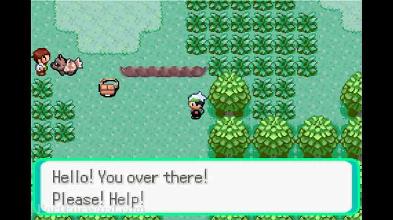 Pokemon Emerald Walkthrough - Pokemon Emerald 14