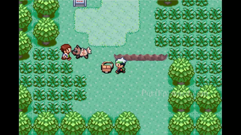 Pokemon Emerald Walkthrough - Pokemon Emerald 15