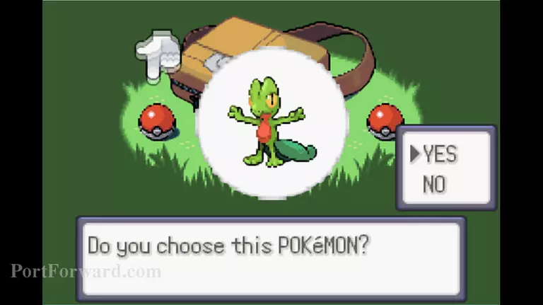 Pokemon Emerald Walkthrough - Pokemon Emerald 16