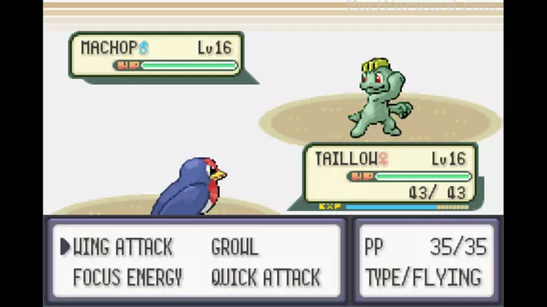 Pokemon Emerald Walkthrough - Pokemon Emerald 162