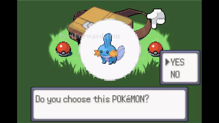 Pokemon Emerald Walkthrough - Pokemon Emerald 18