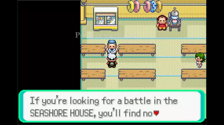 Pokemon Emerald Walkthrough - Pokemon Emerald 196