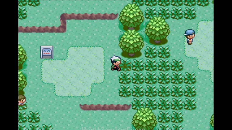 Pokemon Emerald Walkthrough - Pokemon Emerald 21