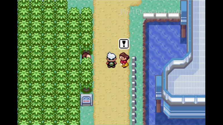 Pokemon Emerald Walkthrough - Pokemon Emerald 215