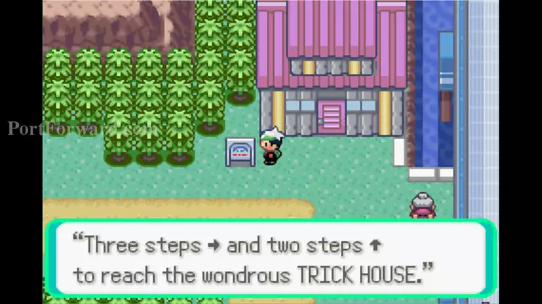 Pokemon Emerald Walkthrough - Pokemon Emerald 217