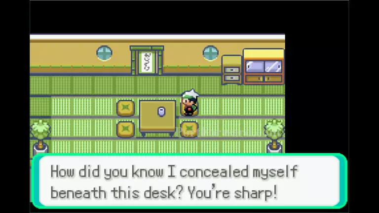 Pokemon Emerald Walkthrough - Pokemon Emerald 218