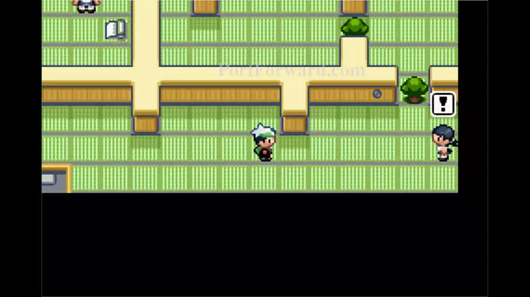 Pokemon Emerald Walkthrough - Pokemon Emerald 220