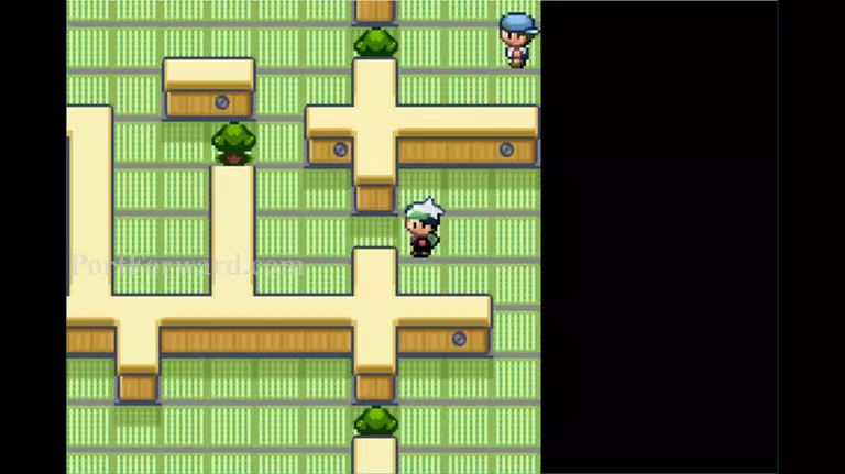 Pokemon Emerald Walkthrough - Pokemon Emerald 222