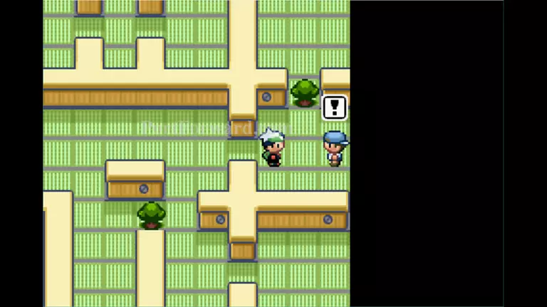 Pokemon Emerald Walkthrough - Pokemon Emerald 228