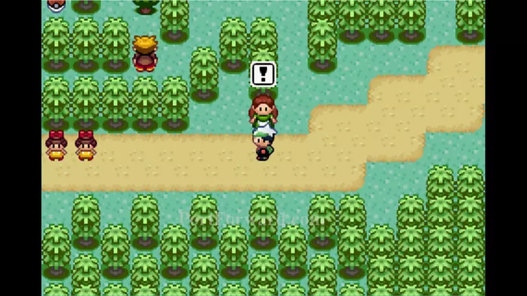 Pokemon Emerald Walkthrough - Pokemon Emerald 233