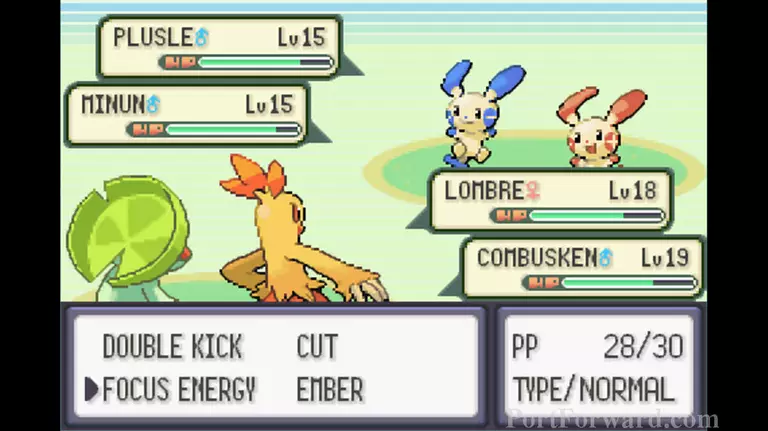 Pokemon Emerald Walkthrough - Pokemon Emerald 236