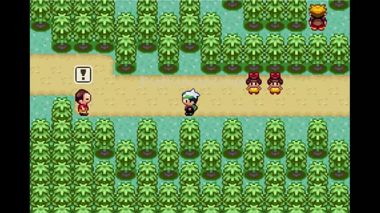 Pokemon Emerald Walkthrough - Pokemon Emerald 237