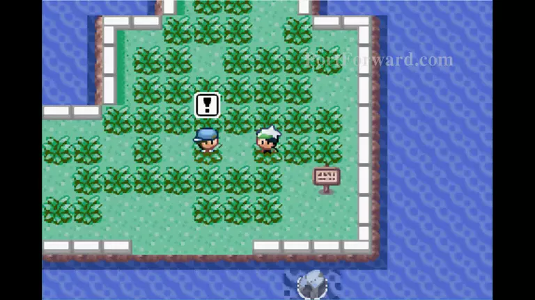 Pokemon Emerald Walkthrough - Pokemon Emerald 244