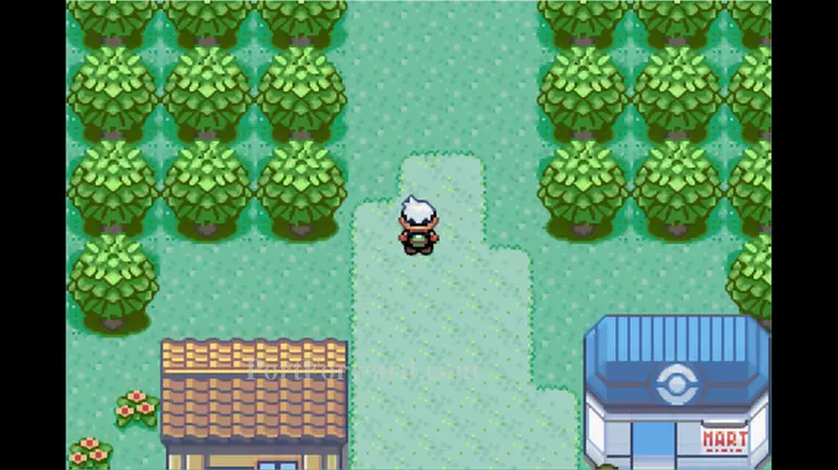 Pokemon Emerald Walkthrough - Pokemon Emerald 25