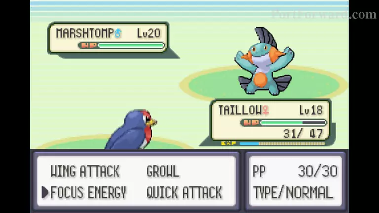 Pokemon Emerald Walkthrough - Pokemon Emerald 250