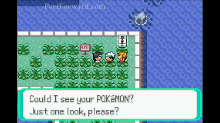 Pokemon Emerald Walkthrough - Pokemon Emerald 252