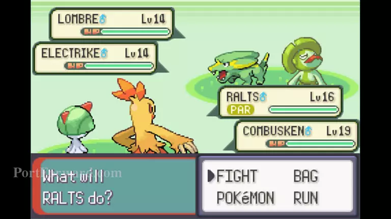 Pokemon Emerald Walkthrough - Pokemon Emerald 253