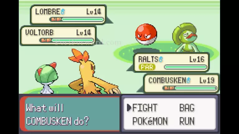 Pokemon Emerald Walkthrough - Pokemon Emerald 254