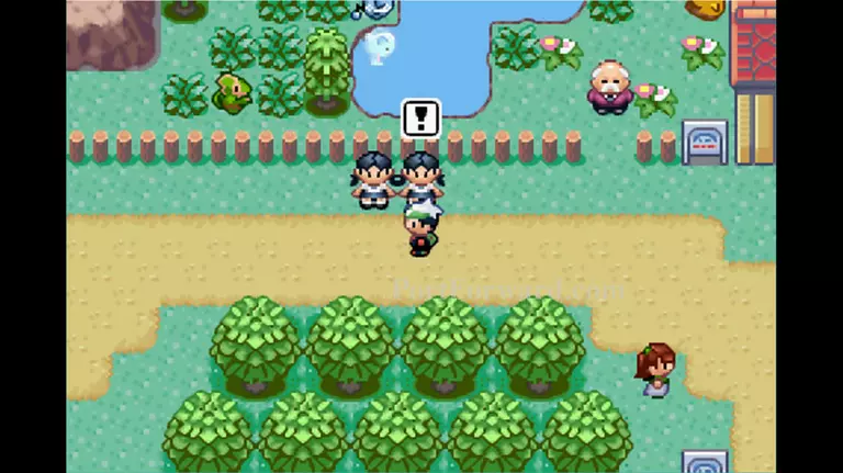 Pokemon Emerald Walkthrough - Pokemon Emerald 297