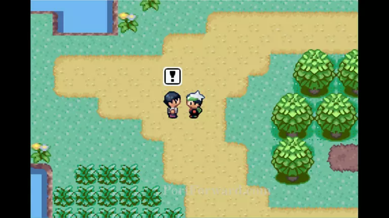 Pokemon Emerald Walkthrough - Pokemon Emerald 299