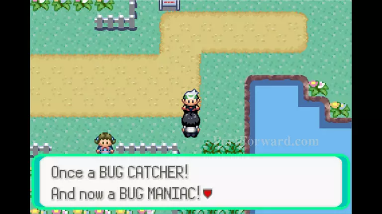 Pokemon Emerald Walkthrough - Pokemon Emerald 307