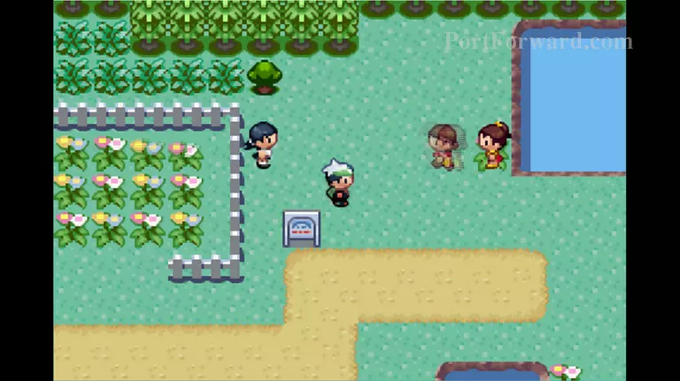 Pokemon Emerald Walkthrough - Pokemon Emerald 310