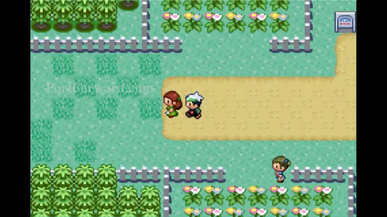 Pokemon Emerald Walkthrough - Pokemon Emerald 313