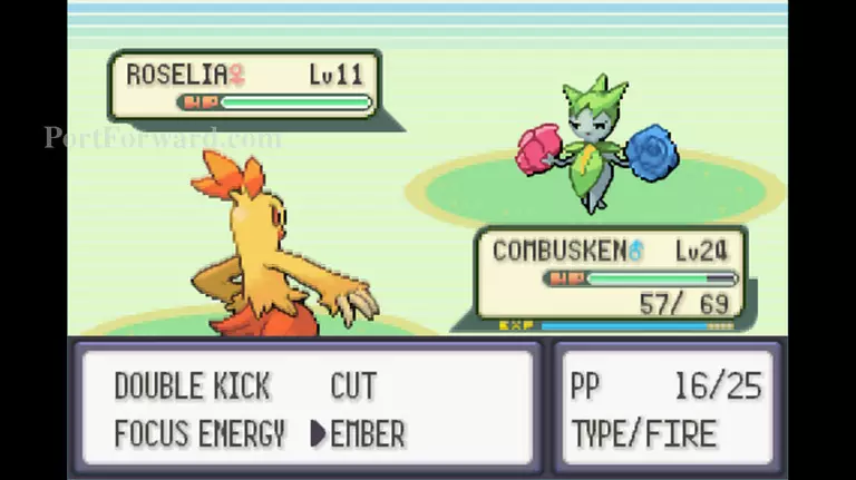 Pokemon Emerald Walkthrough - Pokemon Emerald 318