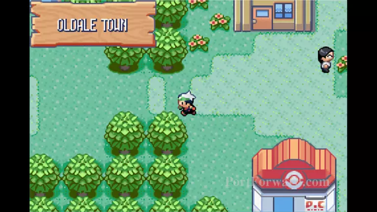 Pokemon Emerald Walkthrough - Pokemon Emerald 33