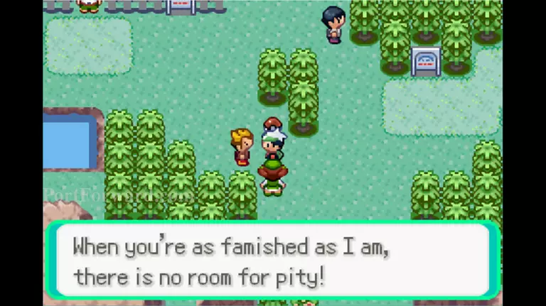 Pokemon Emerald Walkthrough - Pokemon Emerald 333