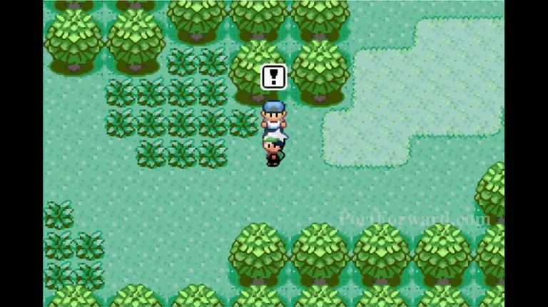 Pokemon Emerald Walkthrough - Pokemon Emerald 34