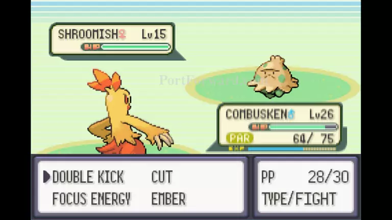 Pokemon Emerald Walkthrough - Pokemon Emerald 340