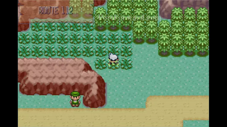 Pokemon Emerald Walkthrough - Pokemon Emerald 355