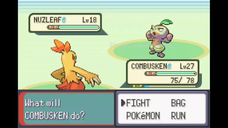 Pokemon Emerald Walkthrough - Pokemon Emerald 357