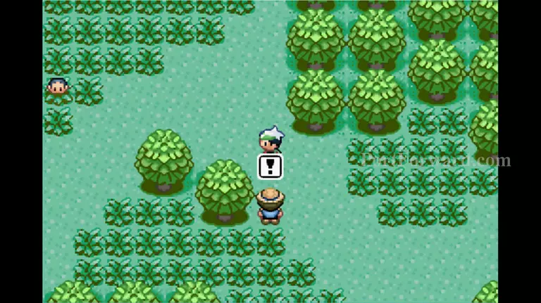 Pokemon Emerald Walkthrough - Pokemon Emerald 36