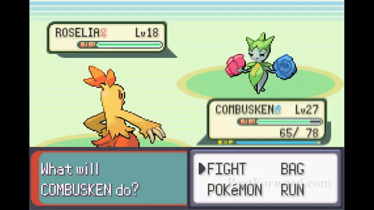 Pokemon Emerald Walkthrough - Pokemon Emerald 371