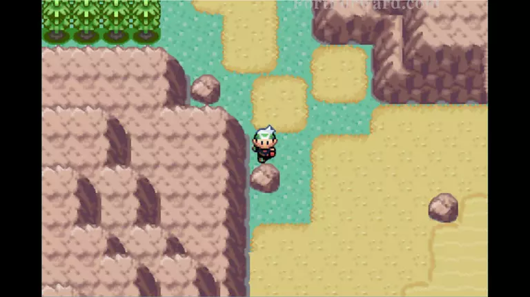 Pokemon Emerald Walkthrough - Pokemon Emerald 373