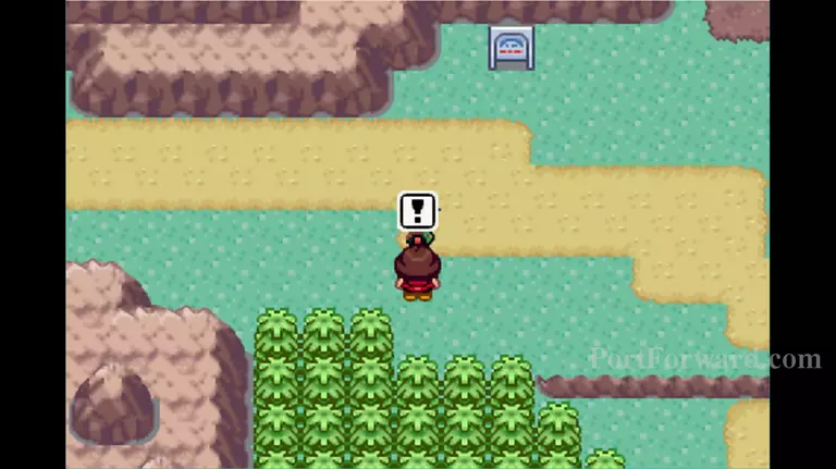 Pokemon Emerald Walkthrough - Pokemon Emerald 380