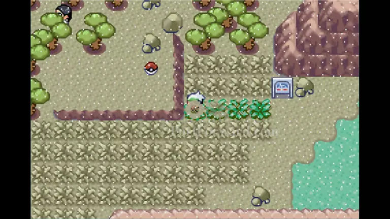 Pokemon Emerald Walkthrough - Pokemon Emerald 385