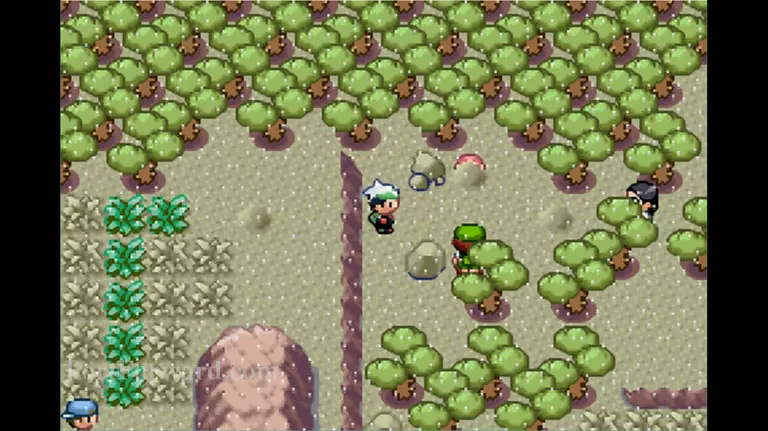 Pokemon Emerald Walkthrough - Pokemon Emerald 388